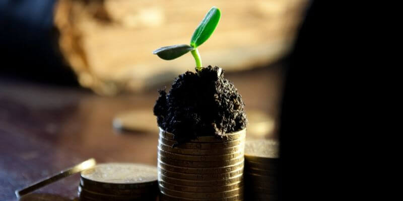 Wie man als Gastronom mehr Geld durch die Steuer einnimmt